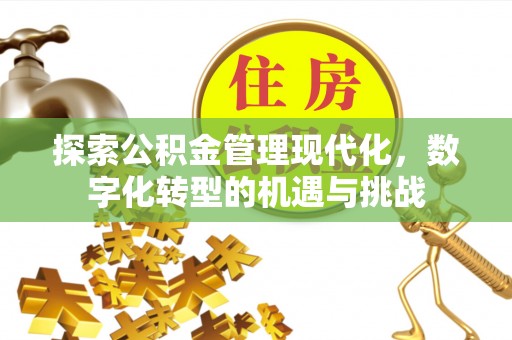 海原探索公积金管理现代化，数字化转型的机遇与挑战