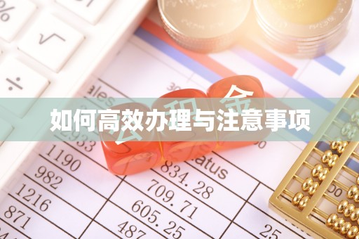 海原如何高效办理与注意事项