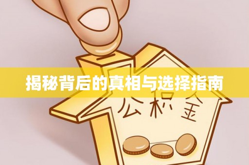 海原揭秘背后的真相与选择指南