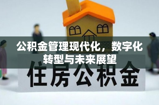 海原公积金管理现代化，数字化转型与未来展望