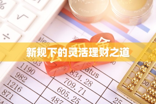 海原新规下的灵活理财之道