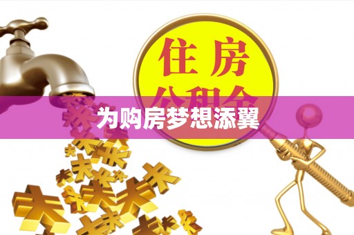 海原为购房梦想添翼