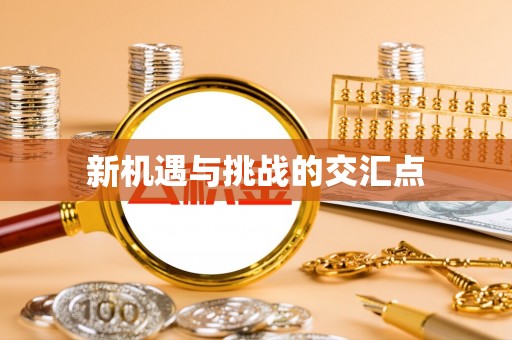 海原新机遇与挑战的交汇点