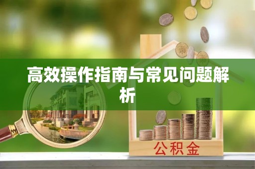 海原高效操作指南与常见问题解析