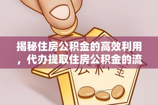 海原揭秘住房公积金的高效利用，代办提取住房公积金的流程与技巧