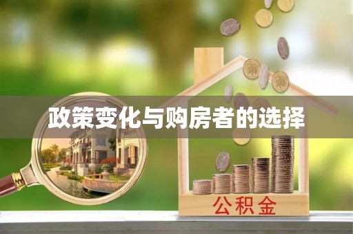 海原政策变化与购房者的选择