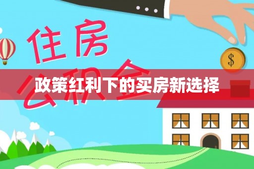 海原政策红利下的买房新选择