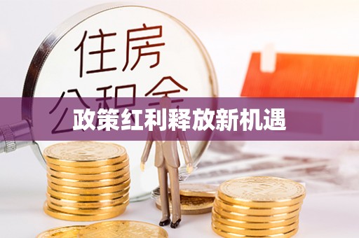 海原政策红利释放新机遇