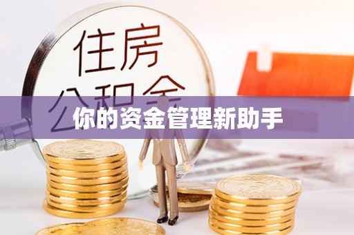 海原你的资金管理新助手