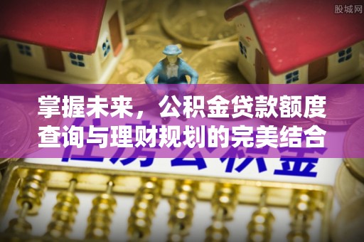 海原掌握未来，公积金贷款额度查询与理财规划的完美结合