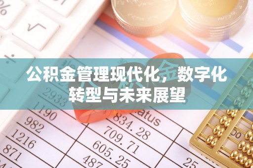 海原公积金管理现代化，数字化转型与未来展望