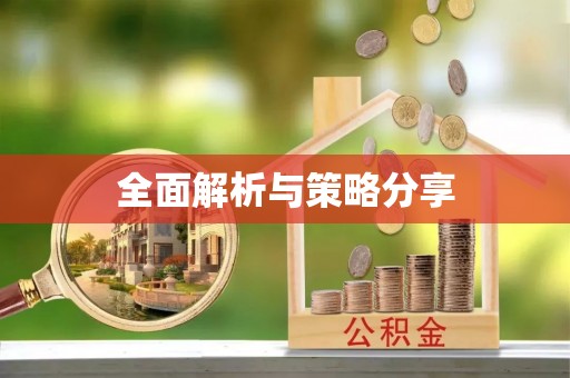 海原全面解析与策略分享