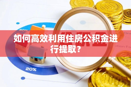 海原如何高效利用住房公积金进行提取？