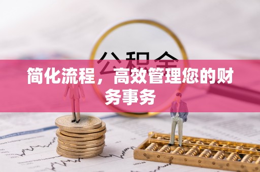 海原简化流程，高效管理您的财务事务