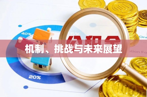 海原机制、挑战与未来展望